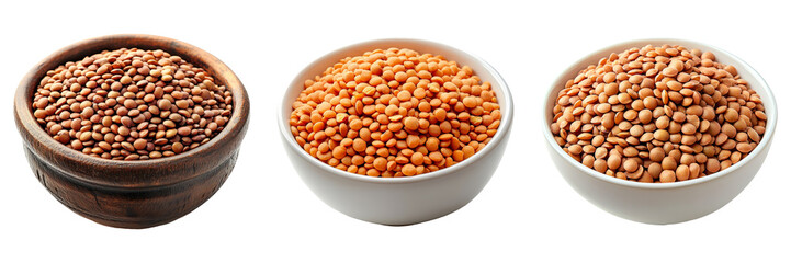 Cooked quinoa in bowl isolated on transparent background food PNG for grain designs or health food illustrations