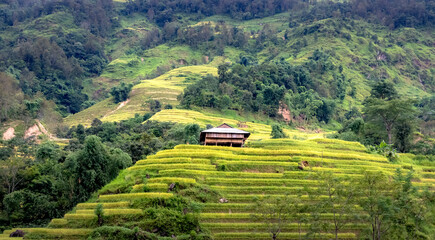 Admiring the beautiful terraced fields in Bac Quang District, Ha Giang Province, Vietnam