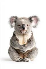 A flat style illustrated koala bear, isolate on white background, showcasing its distinctive look and charm.
