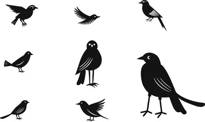 Obraz premium bird silhouette vector art logo Icon design black and white