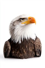 Fototapeta premium An eagle in a suit, isolate on white background, combining elegance with a touch of humor.