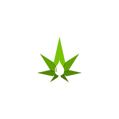 Obraz premium Medical Cannabis oil icon design with Marijuana leaf and hemp oil drop isolated on white background