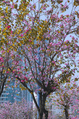 A Taste of Shenzhen - Yantian