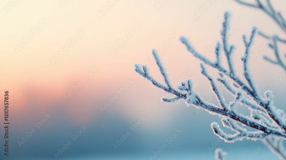 Poster frosty branches of a tree covered in delicate ice crystals sparkling in the soft morning light creat