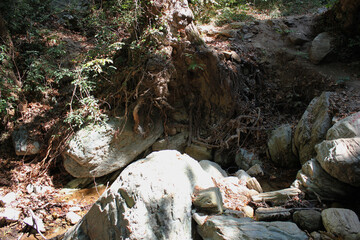 The path of the centaurs (after Cyclone Daniel) Portaria Pelion Greece