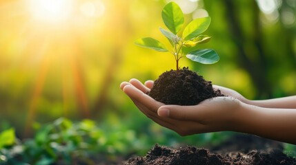 Green energy procurement for businesses, helping organizations source and secure renewable energy to meet sustainability goals.