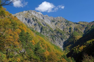 Fototapeta premium Breathtaking autumn landscape with colorful foliage and majestic mountains under a blue sky