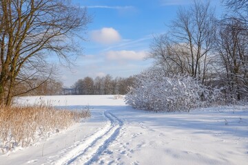 Fototapeta premium A tranquil winter pathway winding through a snowy landscape under a bright blue sky