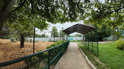A serene shaded walkway constructed with a bamboo roof and steel supports