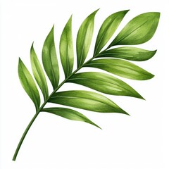 Fototapeta premium Vibrant green palm leaf illustration on a white background, showcasing natural beauty and tropical vibes, perfect for design and decor projects.