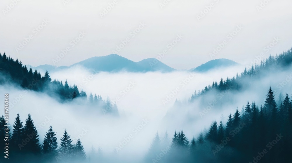 Aufkleber mysterious and serene foggy mountain landscape with silhouetted evergreen trees and mist shrouded va