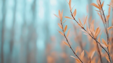 Gentle breeze rustling the leaves of a vibrant autumnal forest creating a peaceful and serene natural landscape with a soft blurred depth of field