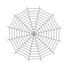 Obraz premium Spider Web Illustration