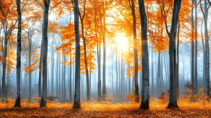 Fototapeta premium Sunbeams Through Autumn Forest.