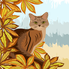 Illustration with cat and leaves.Vector illustration with a cat and autumn leaves on a colored background.