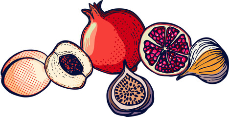 Composition of various fruits,  made in pop art technique on a transparent background. Flat digital illustration in modern style for branding, advertising, posters