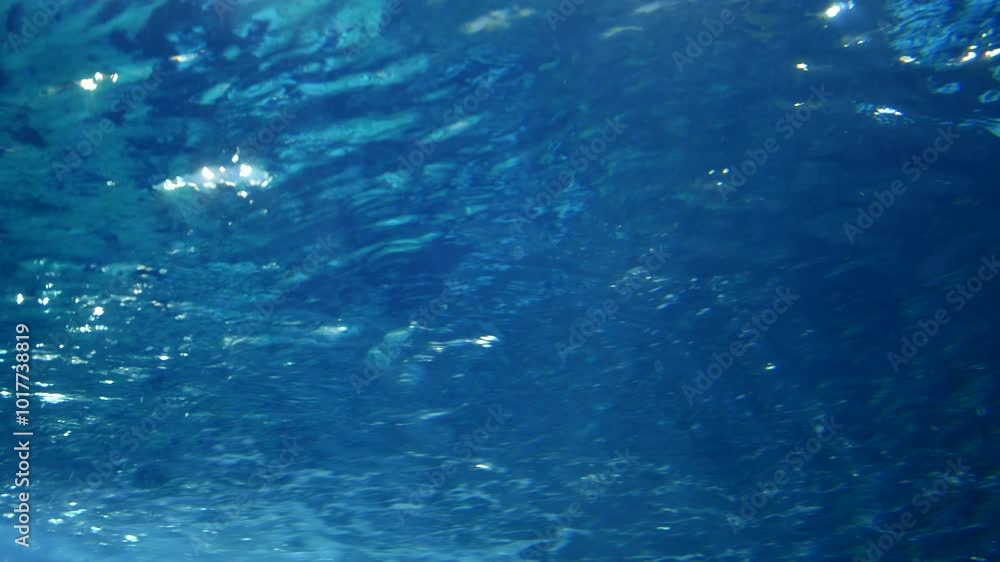 Poster under water view of ripples of sunlight reflecting on the surface of blue water, creating shimmering