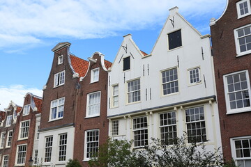 Fototapeta premium Amsterdam Begijnhof Courtyard Traditional Brown and White House Facades, Netherlands