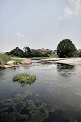 Obraz premium Ruins and nature: harmony in Hampi