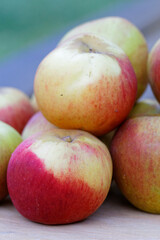 pommes poires 