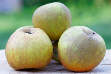 pommes poires 