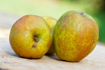 pommes poires 