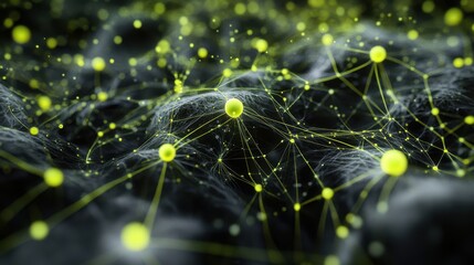 The Digital Network Visualization