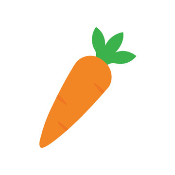 single carrot vector illustration isolated on white
