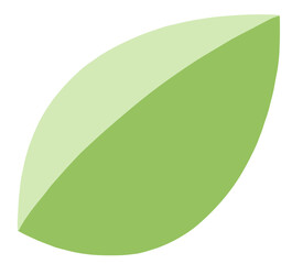 Fototapeta premium 잎