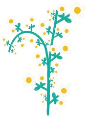 stem of a daisy flower