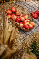 Ripe red apples in basket. Top view with place for your text. autumn concept