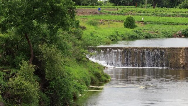 the river in the gir forest. waterfall mountain river in the dhari saurashtra in gujarat, with lush green tropical rainforest jungle. Wonderful freshwater rapids waterfalls river flowing