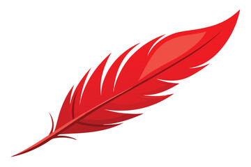 Elegant red feather, illustration on white background.