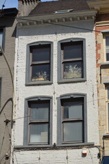 Facade of a white brick building with four windows, featuring decorative dried plants in the upper windows and a mix of natural light and shadows
