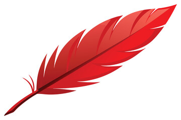 Elegant red feather, illustration on white background.