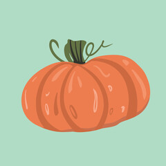 illustration of a pumpkin