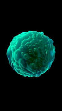 chlamydia bacteria,  Chlamydia trachomatis causes a sexually transmitted infection that can go undetected causing infertility. It also causes the eye disease trachoma, which can lead to blindness.