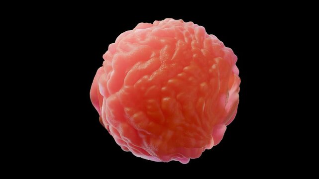 chlamydia bacteria,  Chlamydia trachomatis causes a sexually transmitted infection that can go undetected causing infertility. It also causes the eye disease trachoma, which can lead to blindness.