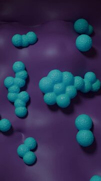 mrsa or superbug bacteria 3d rendering