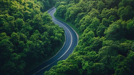 Fototapeta premium Serene Curved Road Through Lush Green Forest