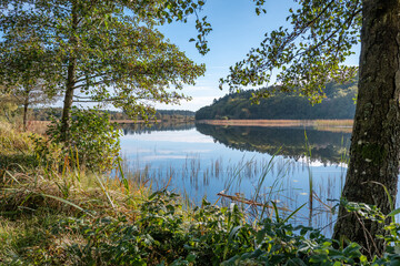 Small Danish lake Rorbaek with green sourroundings in Denmark