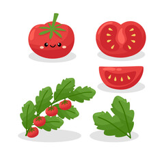 Set of hand drawn tomato. Vector illustration.