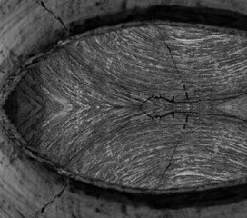 Handmade Pottery crack and texture for background (Black and White)(Selective Focus)