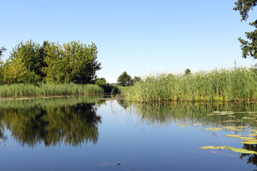 Serene river Bityug reflecting lush greenery under a clear blue sky at midday