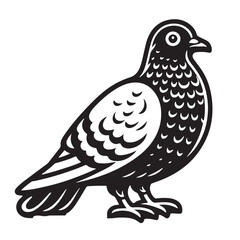Pigeon Vector