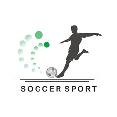 Dynamic Kick of Soccer Spirit