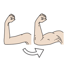 different grown up change phase before and after biceps muscle up hands gesture easy line illustration black line on white background