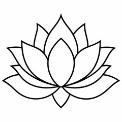 lotus flower illustration