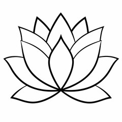 lotus flower vector