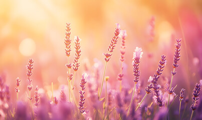 Obraz premium Dreamlike Landscapes and Mystical Gardens with Vibrant Flowers and Glowing Nature